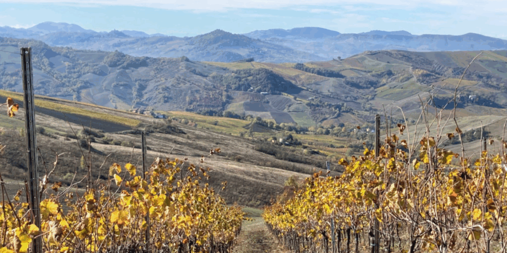 Scopri la Natura con “Sostenibilità in Movimento”